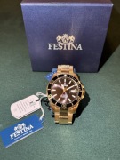 Festina zegarek męski F20533/2