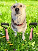 Dwustronna Szczotka do usuwania sierści, podszerstka dla Psa Kota 2w1 NOWA 