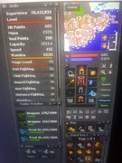 Kasteria fidelity 2023 108ms 73 Magic 66cc pacc 