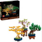 Małe drzewka bonsai