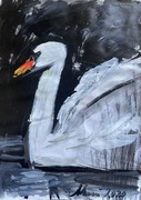 „Łabędź” akryl na papierze