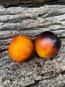 Denis’s Heart F5 Pomidor Kolekcjonerski / 46