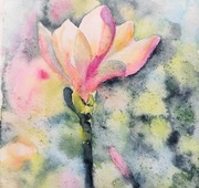 Akwarela 21x21 - "Czas magnolii"