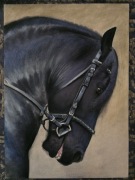 Portret konia. Pastele 50x70 cm