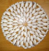 Boho Shell podstawka serwetka  wykonana z naturalnych muszelek vintage