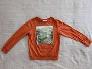 Pomarańczowa bawełniana bluza las Kappahl 134 - 140