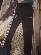 Sportowe spodnie adidas z logo Juventusu