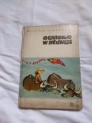 Ognisko w dżungli prl stara bajka 1962
