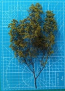 Drzewa z komosy ciernistej. Rozmiar: duży, kolor yellow earthy