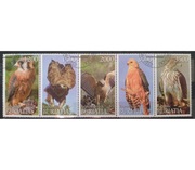 Fauna zwierzęta ptaki Buriatia