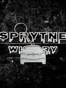 Inteligentny Brelok NFC BMW SREBRNY