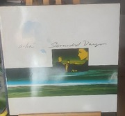 Scoundrel Days A-Ha Winyl