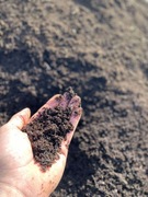 Ziemia Ogrodowa/kompostowa