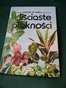 Liściaste piękności Muza rosliny domowe 