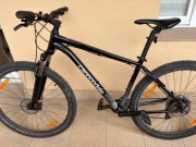 Rower Cannondale Trail 7 L '29