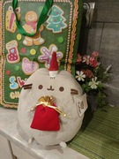 Pusheen z workiem Świętego Mikołaja 