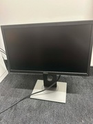 Monitor DELL 19,5" P2017H