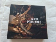 Dawid Podsiadło - Annoyance and Disappointment deluxe edition pendrive