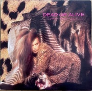 Dead Or Alive – Sophisticated Boom Boom