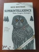 Superintelligence paths, dangers, strategies 