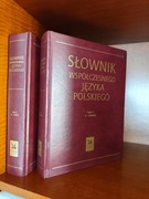 Słownik  współczesnego Języka Polskiego 2 tomy