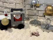 Szpic miniaturowy pomeranian Ophelia