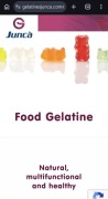 Żelatyna Spożywcza JUNCA 13 workow po 25kg