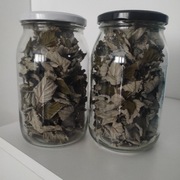 Herbatka enzymatyczna z liści malin 15 g