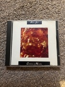 Pearl Jam-Children of Novelty-Nirvana,Alice In Chains,Soundgarden