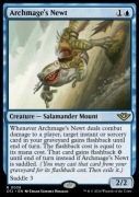 Archmage's Newt Magic: the Gathering MtG