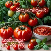Pomidory malinowe,bycze serca,przetwory,ruskie odmiany.... Przedsprzedaż 