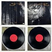 Winyl Cocteau Twins – Treasure; Poland, 1989