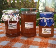 SYROP Z KWIATOSTANÓW NAWŁOCI KANADYJSKIEJ (380 ml, cukier ok. 37%) - 2025 