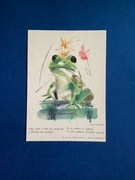 JANUSZ GRABIAŃSKI - POCZTÓWKA - „ŻABKA HELUSI” - 1963 rok