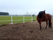 Ogrodzenie koni padok PVC białe