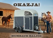 Humbaur Balios Przyczepa do 2 koni używana zarejestrowana ubezpieczona