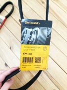 Continental 6PK 844 Pasek Wielorowkowy