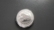 Lunar 2 Rok Tygrysa 2010r 1oz uncja srebrna moneta 999