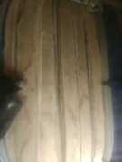 Tarcica dębowa, dąb