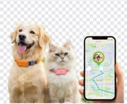 Lokalizator GPS dla Psa Kota