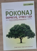 Pokonaj depresję, stres i lęk Stephen Briers