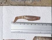 Przynęty gumowe- kopyta okoniowo-szczupakowe