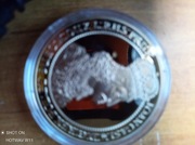 Donatywa Jana Kazimierza . Skarbnica narodowa.