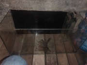 Akwarium 112l full opti white 