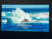 Telewizor LG55B9  Oled 55cali 4k