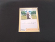 Karta Pokémon Professor Laventon (SIT 162)