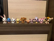 LPS Littlest pet shop pop spaniel #252 - zestaw
