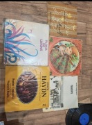 Płyty winylowe stan zadowalający 