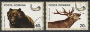 RUMUNIA - ŁOWIECTWO - JELEŃ - 1976