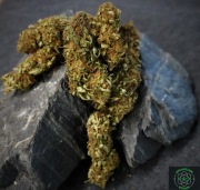 Blueberry Haze Naturalne CBD 100% susz  10g 